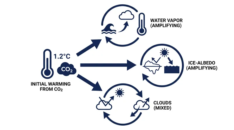 The direct warming from CO2 is amplified by secondary reactions in the Earth's climate system.