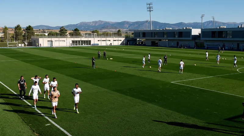 Diomande's arrival provides a natural right-sided option to balance an attack previously heavily skewed toward the left flank.