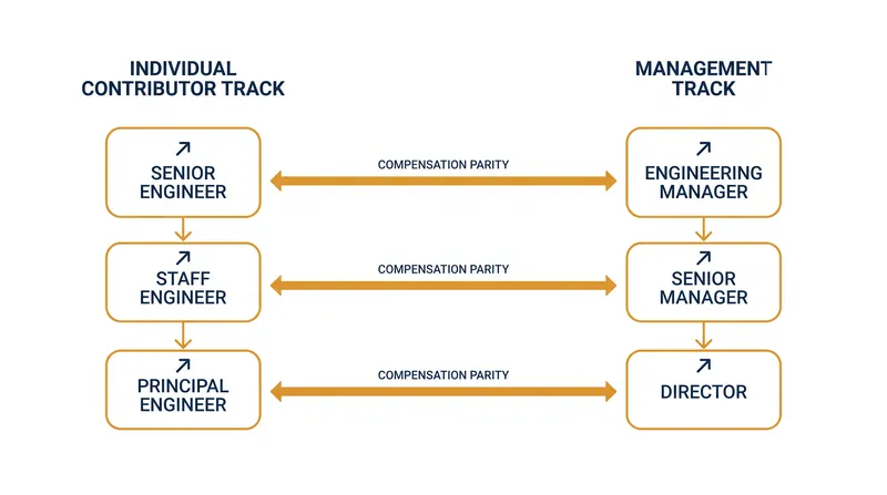 How modern dual-track ladders map technical roles to management equivalents.