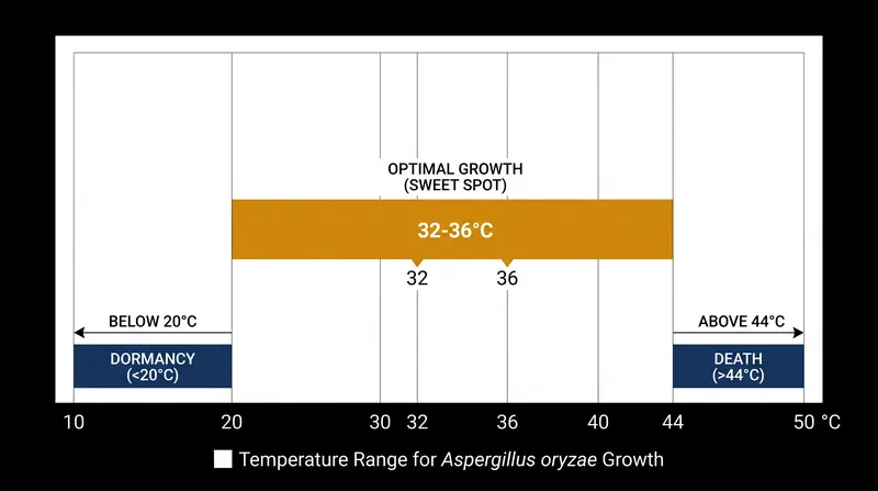 Temperature control is the single most critical variable in koji cultivation.