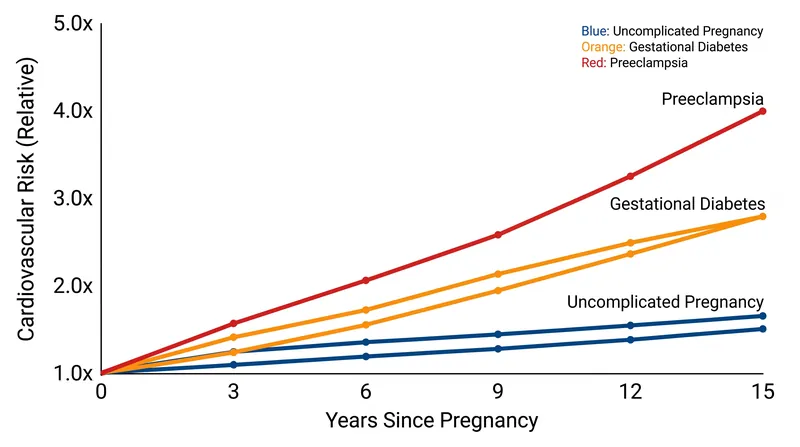 Relative risk multipliers for future cardiovascular events based on pregnancy outcomes.