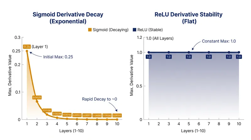Because the sigmoid derivative maxes out at 0.25, gradients shrink exponentially across layers. ReLU maintains a derivative of 1.0 for positive inputs.