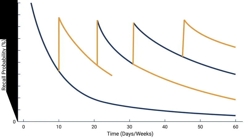 Half-Life Regression predicts the exact moment a student is likely to forget a concept, scheduling a review to reset the forgetting curve.