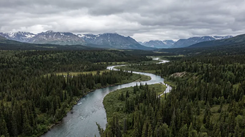 In remote landscapes like Alaska, eDNA allows agencies to monitor dozens of fish species across vast watersheds where traditional netting is logistically impossible.