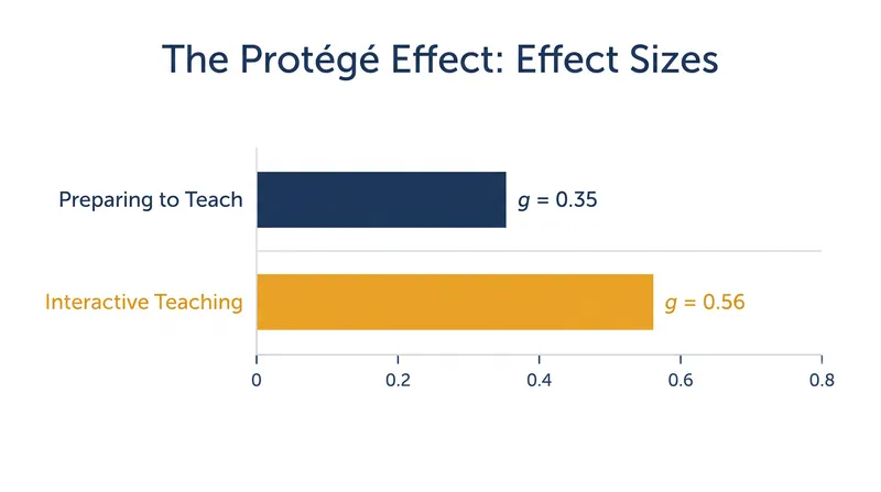 The cognitive benefit of teaching compounds when the learner actively delivers the explanation.