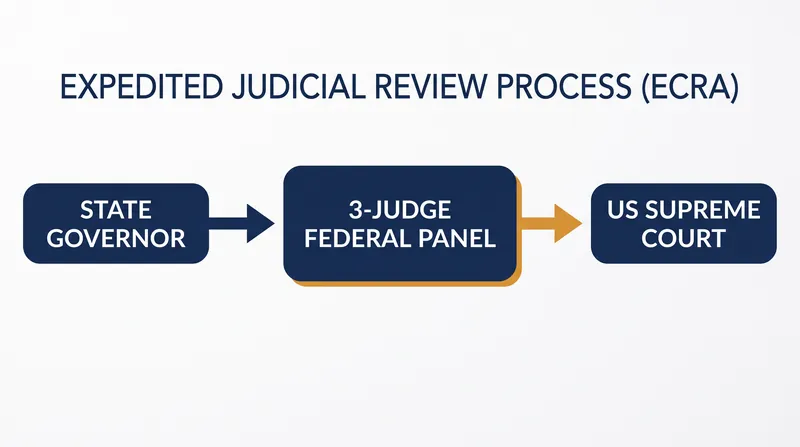 The law routes election disputes through the federal judiciary rather than Congress.