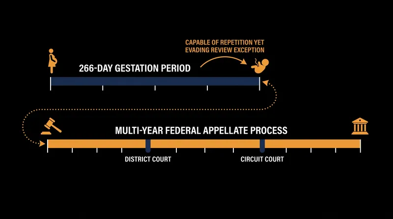 Why short-term disputes require exceptions to the mootness doctrine.