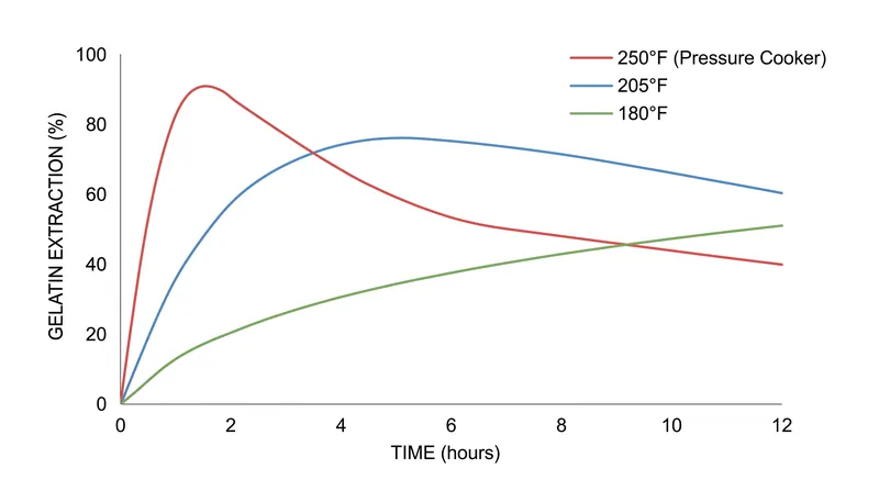 Higher temperatures accelerate extraction, but excessive heat over time degrades the gelatin into smaller peptides.