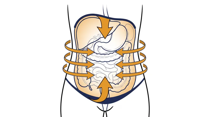 The core functions as a pressurized cylinder, with the diaphragm, pelvic floor, and transversus abdominis acting as the boundaries.