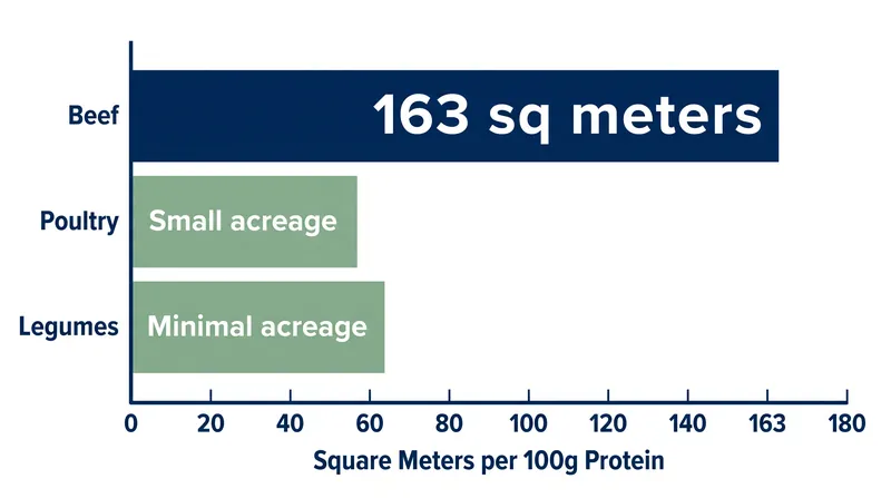 Land use requirements demonstrate the outsized spatial footprint of ruminant agriculture.