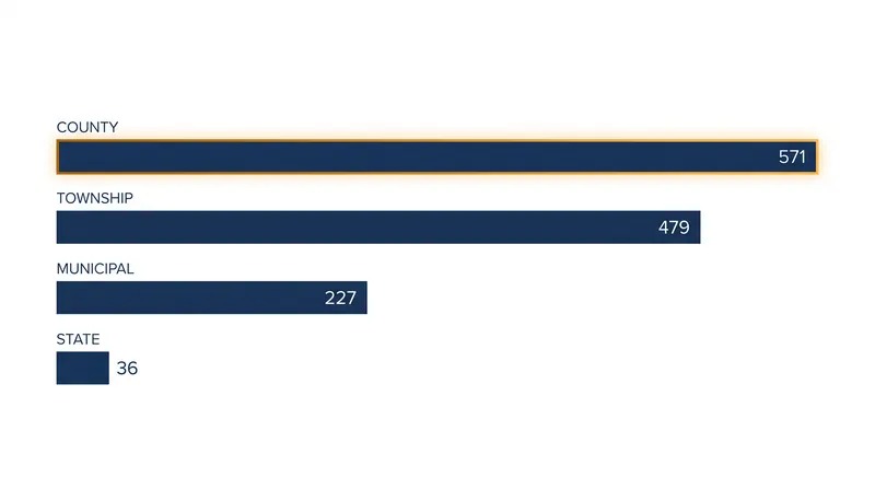 County and township governments serve as the parent entities for the vast majority of dependent school systems.