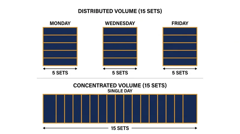 Splitting weekly volume across multiple sessions prevents intra-workout fatigue and maximizes mechanical tension.