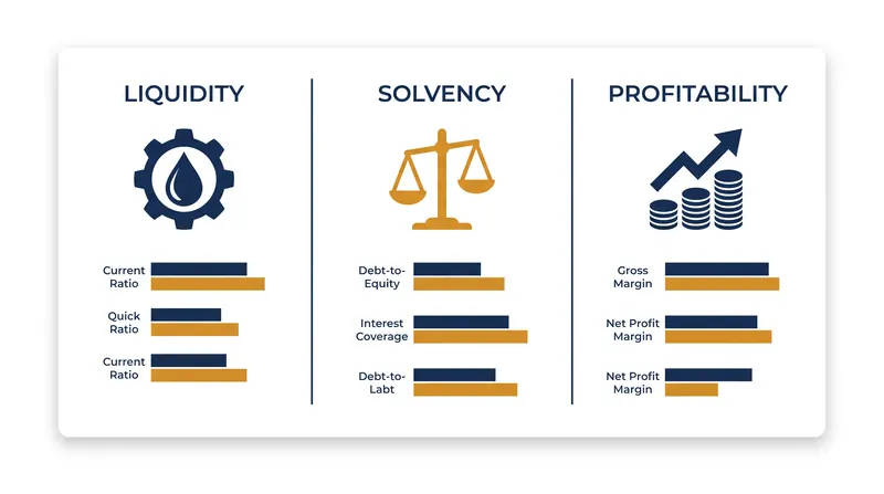The three primary pillars of financial ratio analysis.
