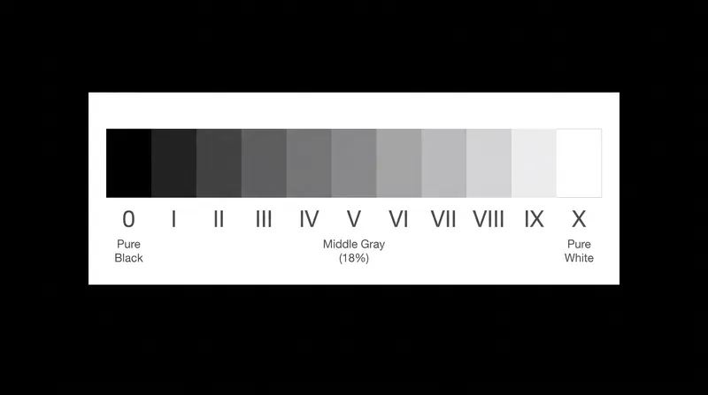 The 11 zones map the continuous spectrum of light into discrete, manageable steps.