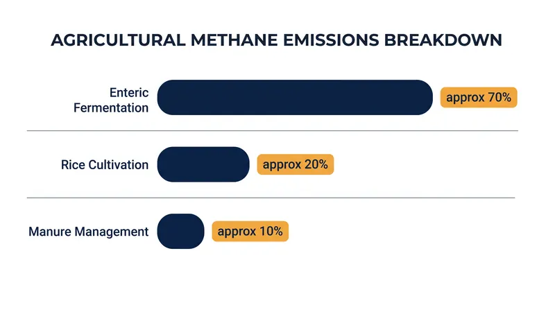 Enteric fermentation dominates the agricultural methane profile, followed by rice cultivation and manure management.