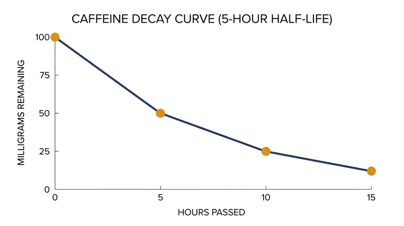 A standard 5-hour metabolic half-life means 25 percent of a caffeine dose remains active ten hours after consumption.