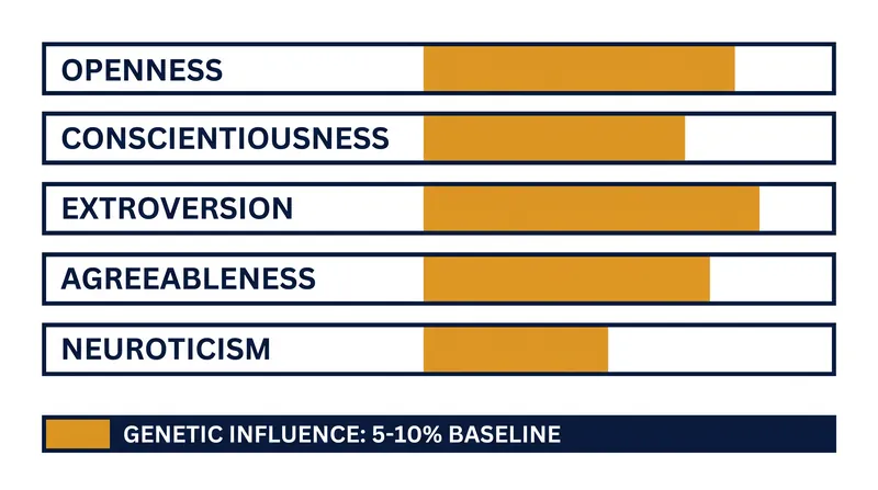 The 2026 meta-analysis found that genetics account for roughly 5 to 10 percent of personality differences across populations.
