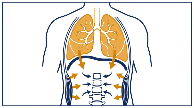 Trapping air in the lungs forces the diaphragm downward, generating intra-abdominal pressure that acts as an internal splint for the lumbar spine.