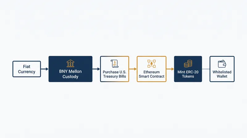 How traditional fiat currency is converted into yield-bearing blockchain tokens.