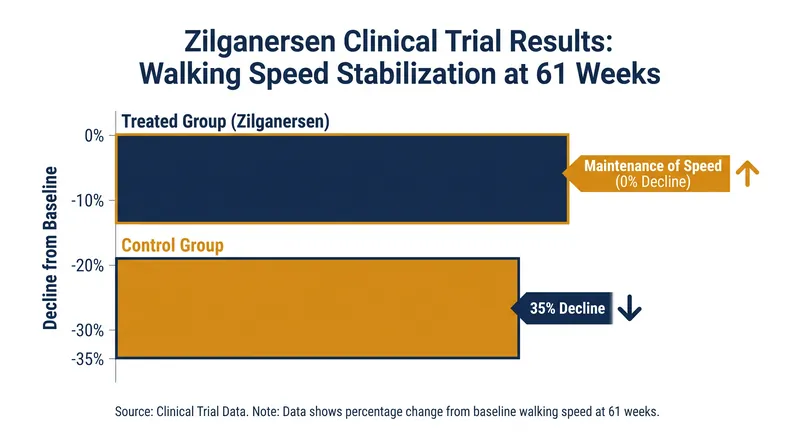 Patients aged five and older treated with zilganersen maintained their walking speed over 61 weeks, while untreated patients saw a 35 percent decline.