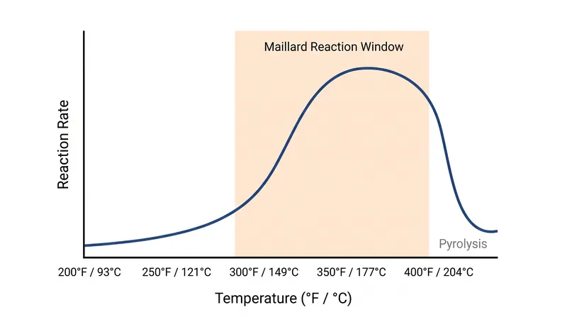 The Maillard reaction accelerates rapidly above 280°F but gives way to bitter pyrolysis near 390°F.