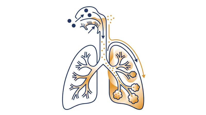 Ultrafine particles generated by scented cleaners are small enough to deposit deep within the respiratory system.