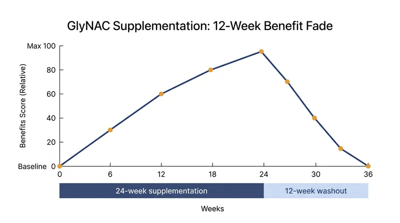 Metabolic benefits faded within 12 weeks of stopping the dual-precursor supplementation.