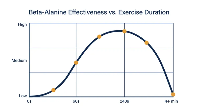 The performance benefit of beta-alanine follows a strict bell curve, peaking during efforts that rely heavily on anaerobic glycolysis.