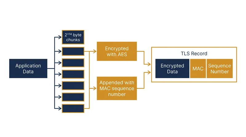 The TLS Record Protocol fragments and encrypts application data using the symmetric keys generated during the handshake.