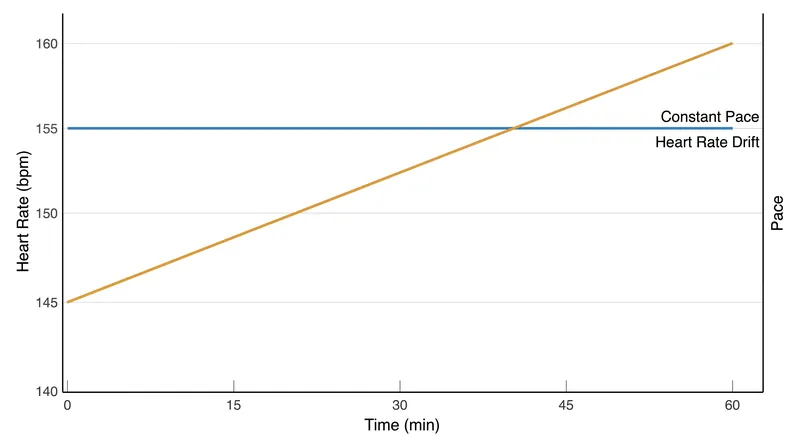 The decoupling of heart rate from external pace typically begins after 20 minutes of steady exercise.