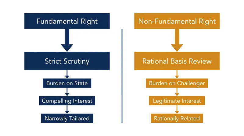 The classification of a right dictates the burden of proof placed on the government.