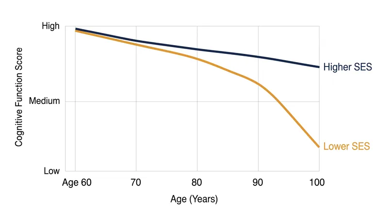 Longitudinal data reveals that the cognitive benefits of leisure activities are significantly amplified for individuals with higher lifelong socioeconomic status.