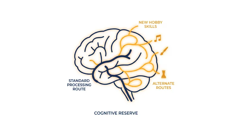 Hobbies that require continuous learning help build cognitive reserve, creating alternate neural pathways that protect against age-related decline.