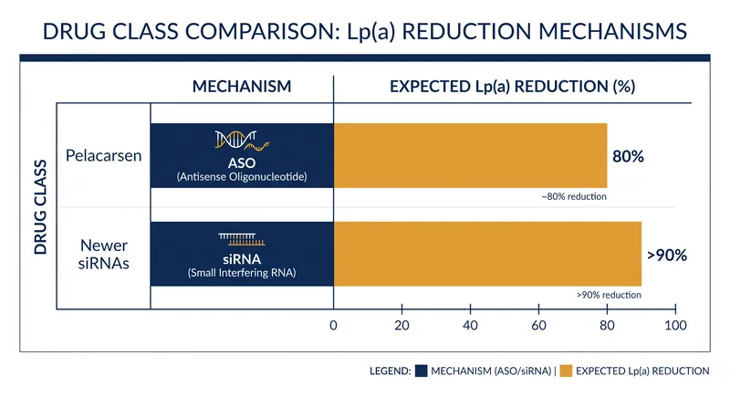 Pelacarsen lowers Lp(a) by roughly 80%, while newer drugs in development target reductions exceeding 90%.