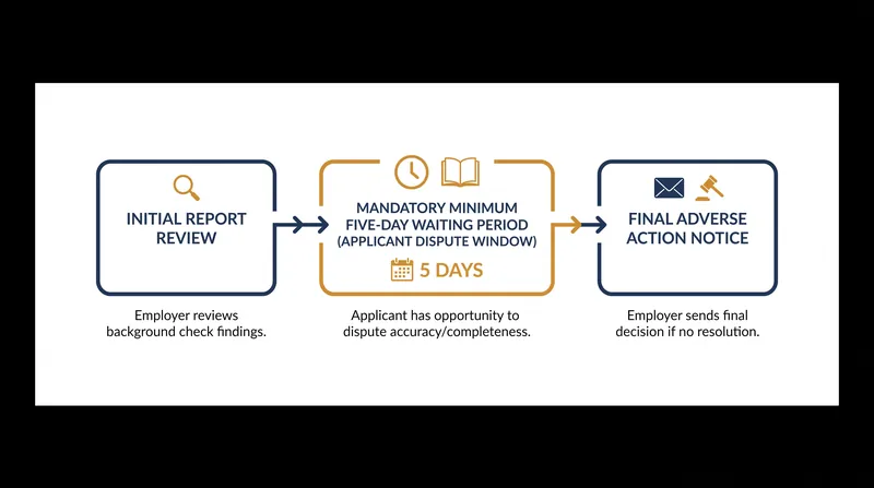 Employers must provide candidates with a copy of their report and a reasonable window to dispute inaccuracies.
