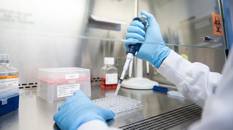 Drug developers are currently testing allosteric modulators that gently enhance NMDA receptor function without causing neurotoxicity.