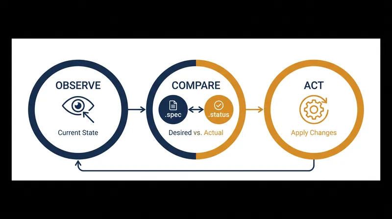 The continuous three-step cycle that maintains desired state.