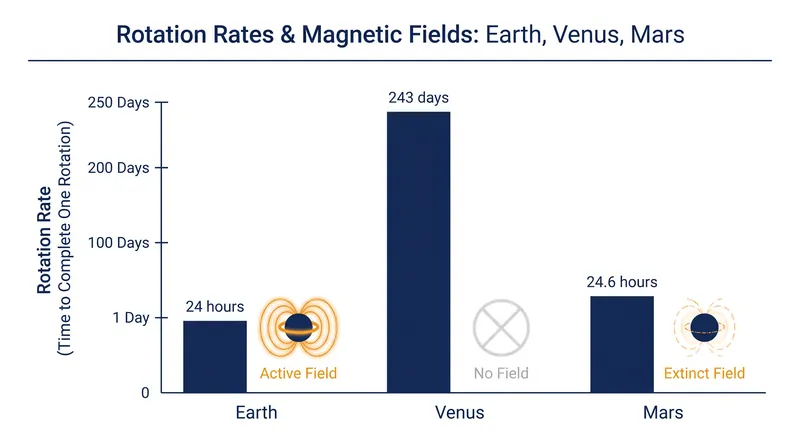 Comparing the rotation rates and dynamo status of the inner rocky planets.