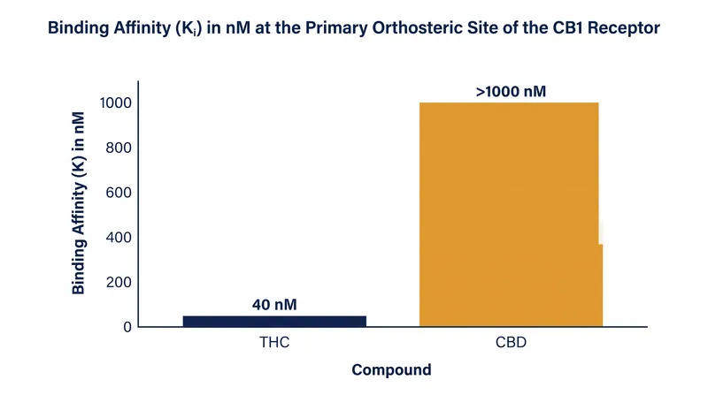 CBD shows exceedingly weak affinity for the primary docking port compared to THC, preferring its secondary allosteric site.