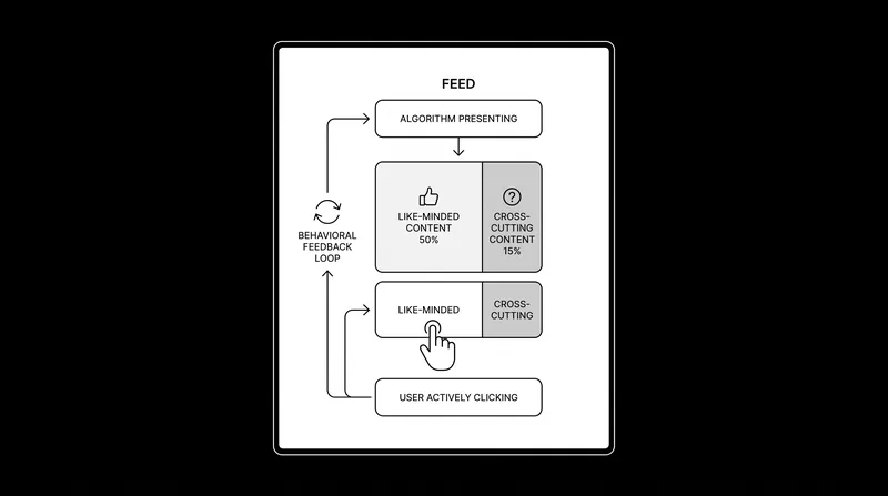 Echo chambers are sustained by user engagement choices, not algorithmic omission.