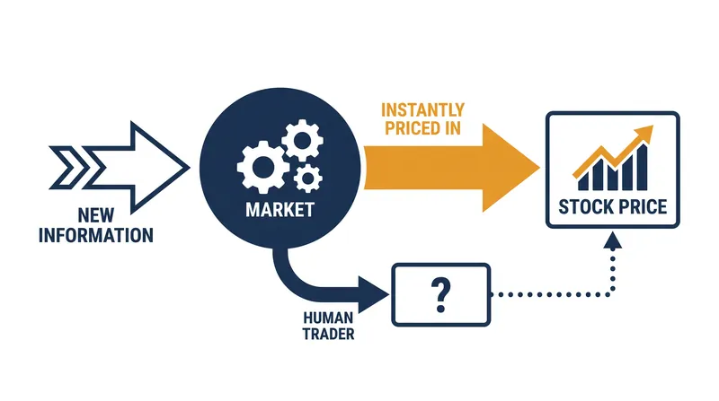 The Efficient Market Hypothesis posits that asset prices instantly reflect all available public information.