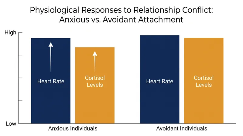 Physiological stress markers during conflict are elevated in both anxious and avoidant partners, despite differing outward behaviors.