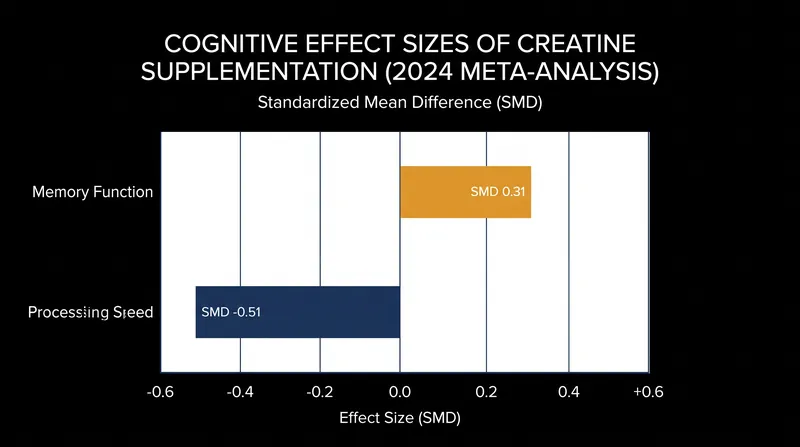 Creatine supplementation shows a stronger effect on processing speed than memory retention.
