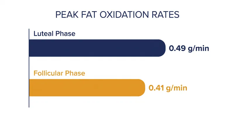 While peak fat oxidation can be marginally higher in the luteal phase, the shift is highly dependent on the exact ratio of estrogen to progesterone.