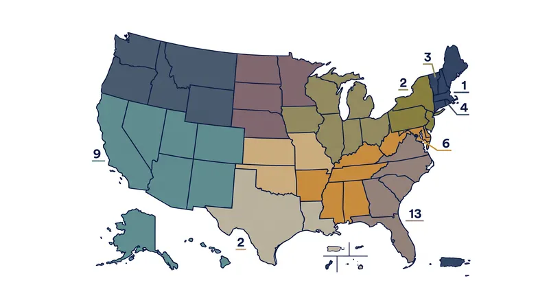 The federal judicial system is divided into 13 geographic circuits, each capable of setting its own binding precedent.