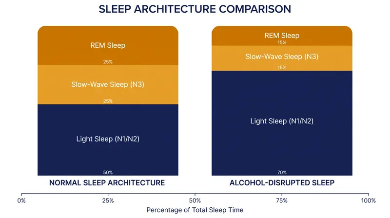 Alcohol reduces sleep latency but severely fragments the restorative phases of the sleep cycle.