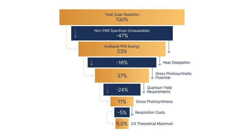 The thermodynamic leaks in photosynthesis permanently discard 94% of incident solar energy.