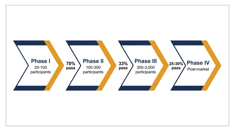 The clinical trial pipeline requires exponentially larger patient cohorts at each phase to prove safety and efficacy.