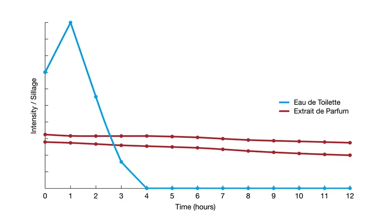 Higher concentrations project less initially but maintain their scent profile for significantly longer.
