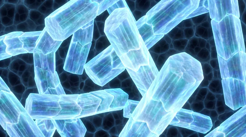 Human enamel is composed of 97% hydroxyapatite, making the synthetic version biologically identical to the native tooth structure.
